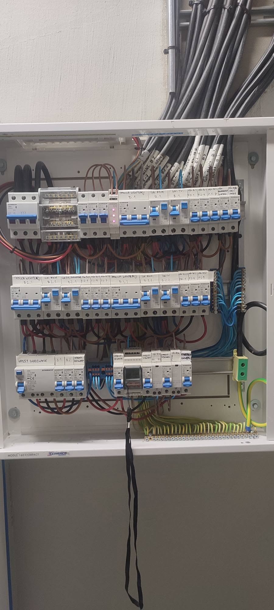 723572751_122167963142741057_6672531999022554201_n
